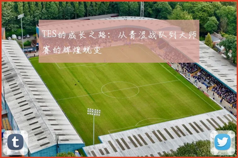 TES的成长之路：从青涩战队到大师赛的辉煌蜕变